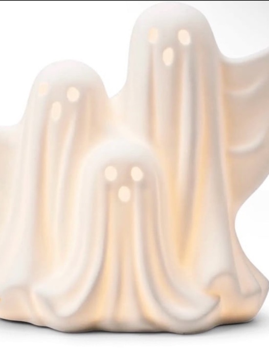 Scentsy boo crew warmer